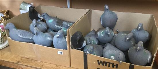 Qty decoy pigeons